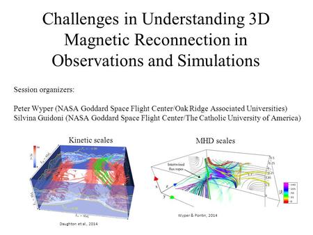 Challenges in Understanding 3D Magnetic Reconnection in Observations and Simulations Session organizers: Peter Wyper (NASA Goddard Space Flight Center/Oak.