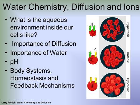 What is the aqueous environment inside our cells like? Importance of Diffusion Importance of Water pH Body Systems, Homeostasis and Feedback Mechanisms.