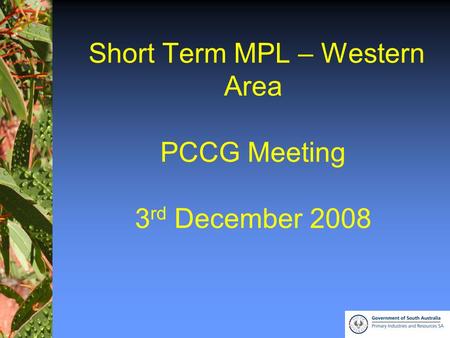 1 Short Term MPL – Western Area PCCG Meeting 3 rd December 2008.