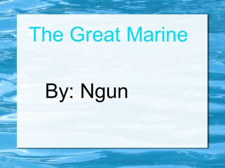 The Great Marine By: Ngun.