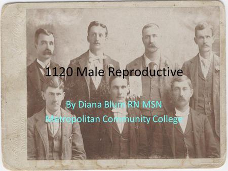 1120 Male Reproductive By Diana Blum RN MSN Metropolitan Community College.