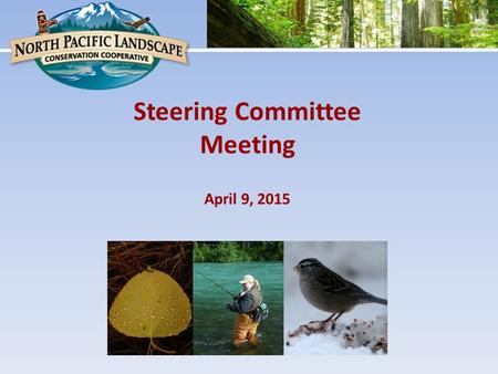 April 9, 2015 Steering Committee Meeting. NPLCC Business NPLCC FY 15 Work Plan Committee and Subcommittee Updates LCC Network Update Round Robin.