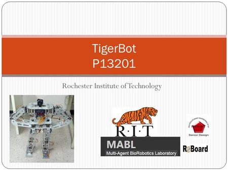 Rochester Institute of Technology TigerBot P13201.