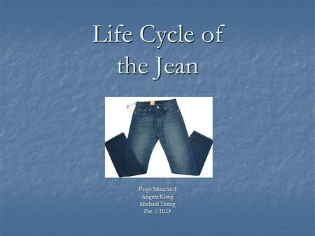 Life Cycle of the Jean Paige Mumford Angela Kong Michael Tzeng Per. 2 IED.