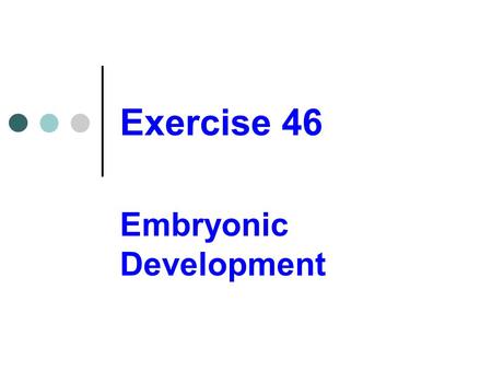 Embryonic Development