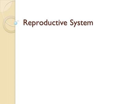 Reproductive System.