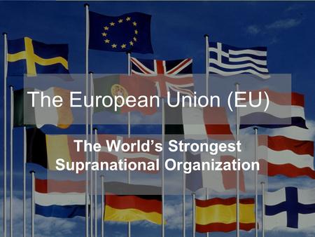 The European Union (EU)