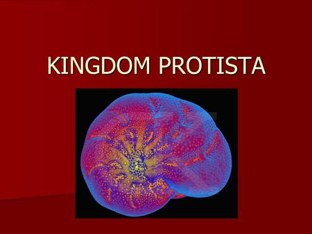 KINGDOM PROTISTA. PROTISTS Eukaryotic cells having a discrete membrane-bound nucleus (see Page 420) Eukaryotic cells having a discrete membrane-bound.