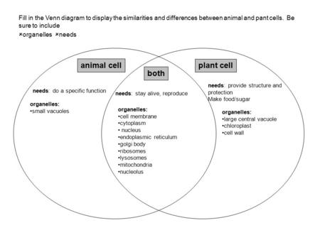 animal cell plant cell both