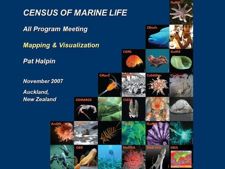 CENSUS OF MARINE LIFE All Program Meeting Mapping & Visualization Pat Halpin November 2007 Auckland, New Zealand.