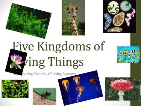 Five Kingdoms of Living Things