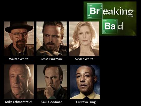 Walter WhiteJesse PinkmanSkyler White Mike Erhmantraut Saul GoodmanGustavo Fring.