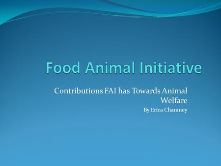 Contributions FAI has Towards Animal Welfare By Erica Chamney.