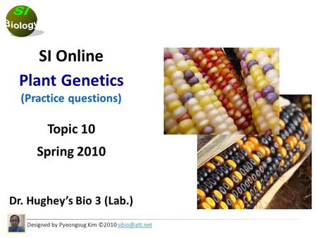 Designed by Pyeongsug Kim ©2010 SI Online Plant Genetics (Practice questions) Topic 10 Spring 2010 Dr. Hughey’s Bio 3 (Lab.)