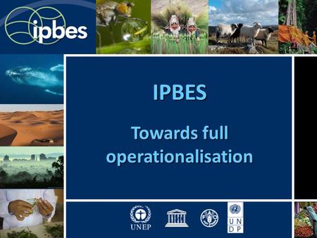 IPBES Towards full operationalisation. Outline of the briefing 1.Process, mandates and basis for the plenary meeting on IPBES 2.Agenda and documentation.