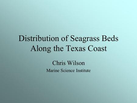 Distribution of Seagrass Beds Along the Texas Coast Chris Wilson Marine Science Institute.