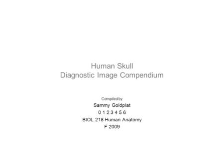 Human Skull Diagnostic Image Compendium Compiled by Sammy Goldplat 0 1 2 3 4 5 6 BIOL 218 Human Anatomy F 2009.