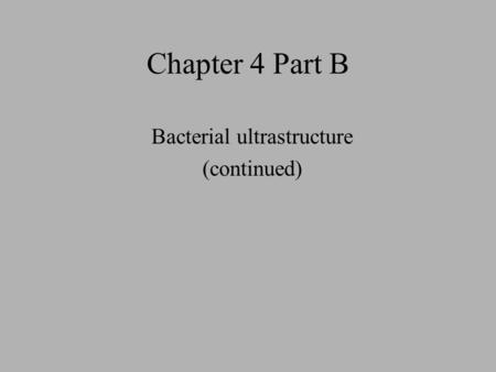 Chapter 4 Part B Bacterial ultrastructure (continued)