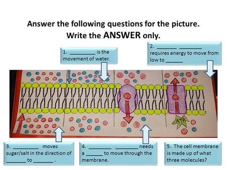 Answer the following questions for the picture. Write the ANSWER only. 1. _________ is the movement of water. 2. _______ ________ requires energy to move.