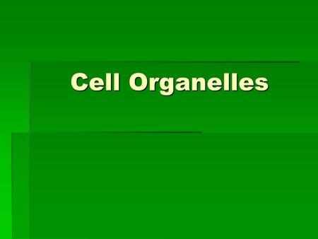 Cell Organelles. CELL ORGANELLES  Cell Membrane  plasma membrane  covers the cell and holds it together- regulates what enters and leaves cell  Nucleus.