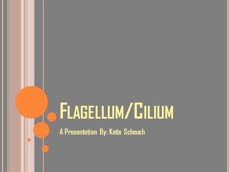 F LAGELLUM /C ILIUM A Presentation By: Katie Scheuch.