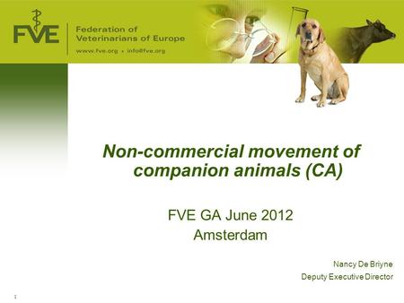 1 Non-commercial movement of companion animals (CA) FVE GA June 2012 Amsterdam Nancy De Briyne Deputy Executive Director.