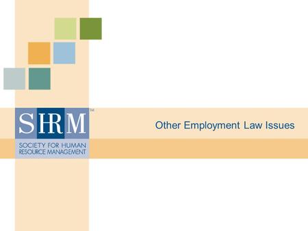 Other Employment Law Issues. ©SHRM 2008 Affirmative Action Executive Order 11246–1965. Applies to federal agencies and federal contractors. Requires employers.