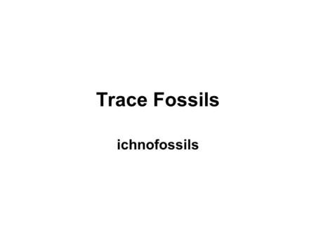 Trace Fossils ichnofossils. Tracks and Trails These features result from organisms moving across the sediment as they walk, crawl, or drag their body.