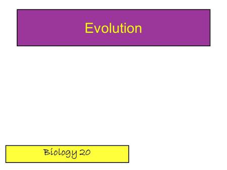 Evolution Biology 20.