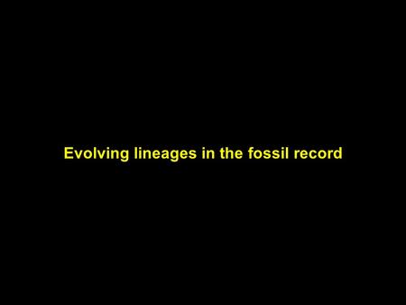 Evolving lineages in the fossil record. Like all sources of data, the fossil record has inherent strengths and limitations.