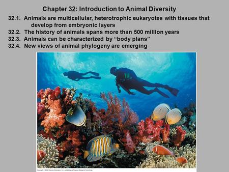 Chapter 32: Introduction to Animal Diversity