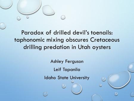 Paradox of drilled devil’s toenails: taphonomic mixing obscures Cretaceous drilling predation in Utah oysters Ashley Ferguson Leif Tapanila Idaho State.