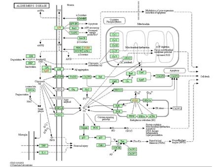 Data model in a nutshell Pathway (GO biol process) PathwayReaction CatalystActivity (GO mol function) Output 1 Reaction Input 1 Input 2 Output 2 Regulation.