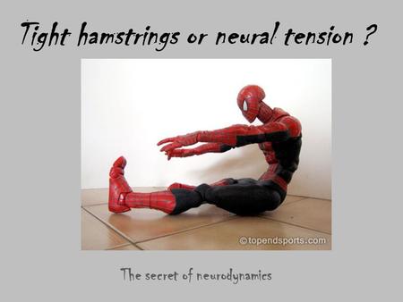 Tight hamstrings or neural tension ? The secret of neurodynamics.