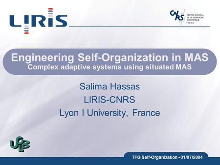 FRE 2672 TFG Self-Organization - 01/07/2004 Engineering Self-Organization in MAS Complex adaptive systems using situated MAS Salima Hassas LIRIS-CNRS Lyon.