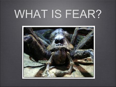 WHAT IS FEAR?. Fear is........The brain’s response to a stimulus, like pain or danger.....Developed as a result of learning from past experiences....Relating.