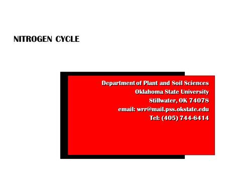 NITROGEN CYCLE Department of Plant and Soil Sciences Oklahoma State University Stillwater, OK 74078   Tel: (405) 744-6414.