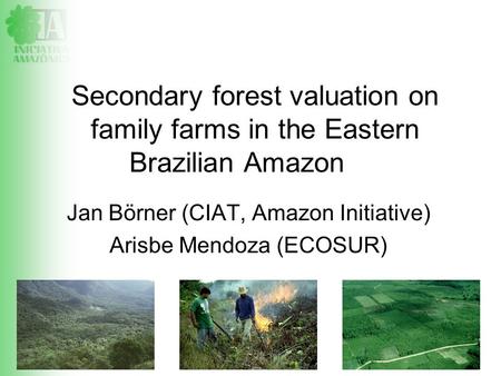 LBA 17-19.11.08, Manaus Jan Börner (CIAT, Amazon Initiative) Arisbe Mendoza (ECOSUR) Secondary forest valuation on family farms in the Eastern Brazilian.