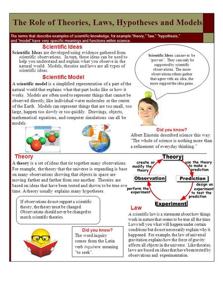 The Role of Theories, Laws, Hypotheses and Models  The terms that describe examples of scientific knowledge, for example:”theory,” “law,” “hypothesis,”