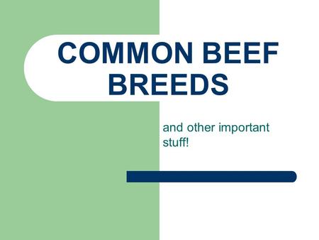 COMMON BEEF BREEDS and other important stuff! WHAT IS A BREED? A breed consists of animals which have been selected for certain characteristics and which.