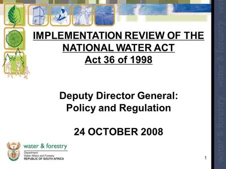 IMPLEMENTATION REVIEW OF THE Deputy Director General: