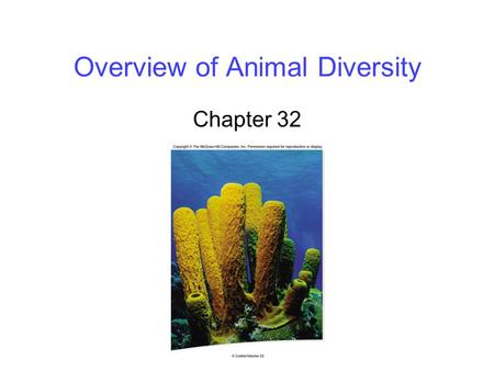 Overview of Animal Diversity