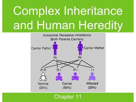 Complex Inheritance and Human Heredity Chapter 11.