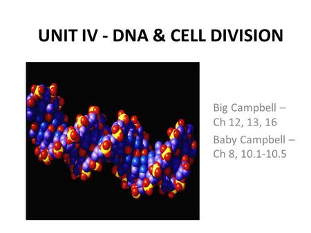 UNIT IV - DNA & CELL DIVISION Big Campbell – Ch 12, 13, 16 Baby Campbell – Ch 8, 10.1-10.5.