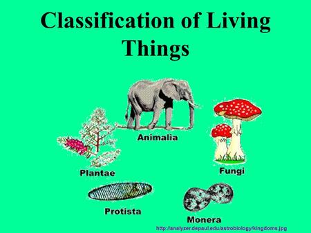 Classification of Living Things