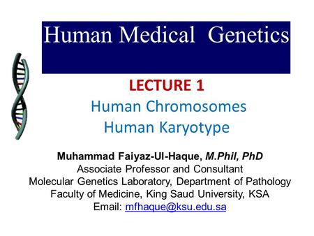 Human Medical Genetics LECTURE 1 Human Chromosomes Human Karyotype Muhammad Faiyaz-Ul-Haque, M.Phil, PhD Associate Professor and Consultant Molecular Genetics.