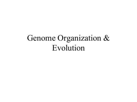 Genome Organization & Evolution. Chromosomes Genes are always in genomic structures (chromosomes) – never ‘free floating’ Bacterial genomes are circular.