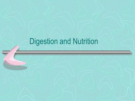 Digestion and Nutrition Ruminant digestive system Mouth- bites and chews food Rumen- large part of ruminant’s stomach where bacteria change large amounts.