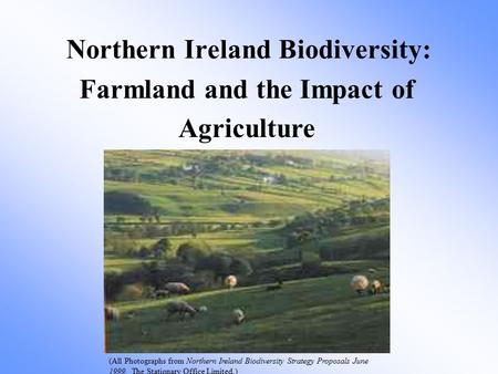 Farmland and the Impact of Agriculture Northern Ireland Biodiversity: (All Photographs from Northern Ireland Biodiversity Strategy Proposals June 1999.