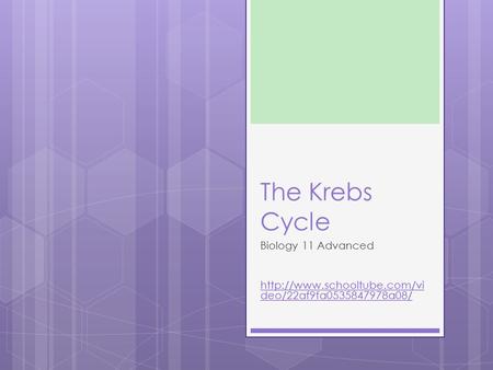 The Krebs Cycle Biology 11 Advanced